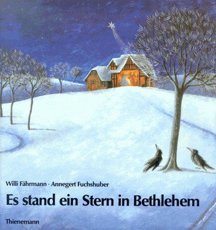 Es stand ein Stern in Bethlehem. Eine Weihnachtsgeschichte