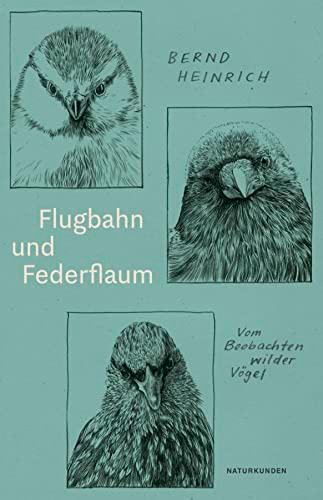 Flugbahn und Federflaum: Vom Beobachten wilder Vögel (Naturkunden)