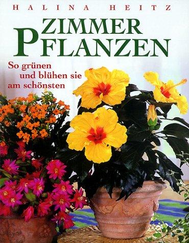 Zimmerpflanzen