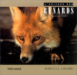 L'UNIVERS DES RENARDS, CHASSEURS DE L'OMBRE