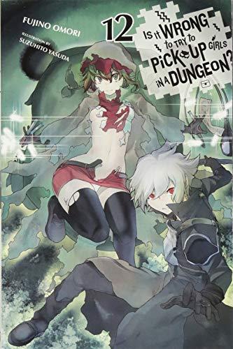 Is It Wrong to Try to Pick Up Girls in a Dungeon?, Vol. 12 (light novel)