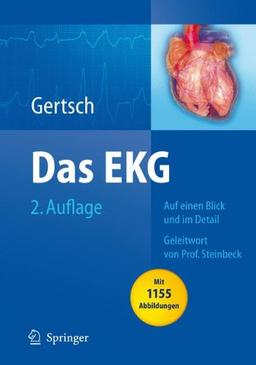 Das EKG: Auf einen Blick und im Detail