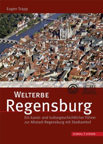 Welterbe Regensburg: Ein kunst- und kulturgeschichtlicher Führer zur Altstadt Regensburg mit Stadtamhof