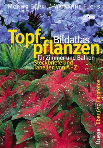 Bildatlas Topfpflanzen für Zimmer und Balkon: Steckbriefe und Tabellen von A - Z