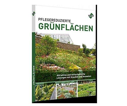 Pflegereduzierte Grünflächen: Attraktive und wirtschaftliche Lösungen mit Stauden und Ansaaten