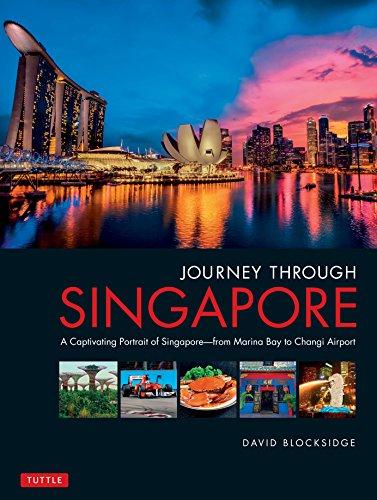 Journey Through Singapore: A Captivating Portrait of Singapore - From Marina Bay to Changi Airport