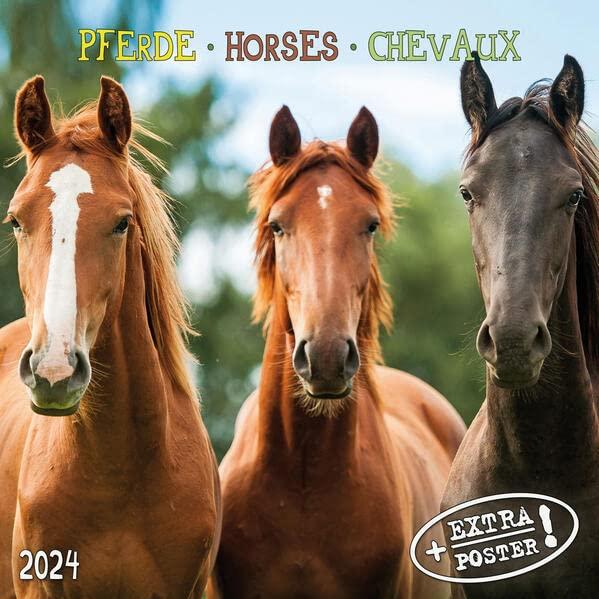 Horses/Pferde 2024: Kalender 2024 (Artwork Edition)