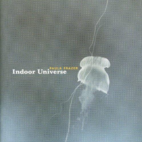 Indoor Universe