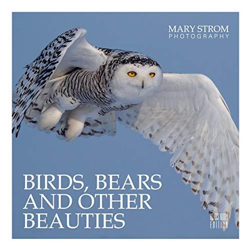 Birds, Bears and other Beauties: Mary Strom Photography