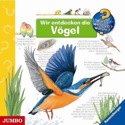 Wir Entdecken die Vögel