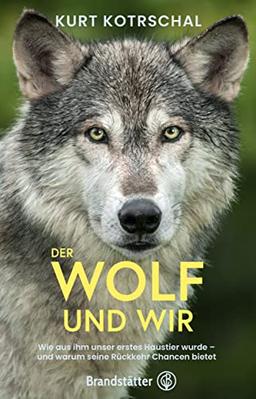 Der Wolf und wir: Wie aus ihm unser erstes Haustier wurde – und warum seine Rückkehr Chancen bietet