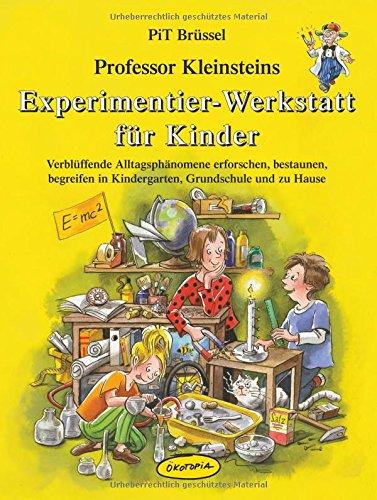 Professor Kleinsteins Experimentier-Werkstatt für Kinder: Verblüffende Alltagsphänomene erforschen, bestaunen, begreifen in Kindergarten, Grundschule und zu Hause