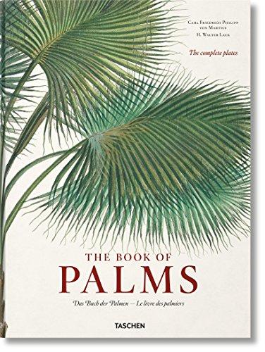 The book of palms. Das Buch der Palmen. Le livre des palmiers