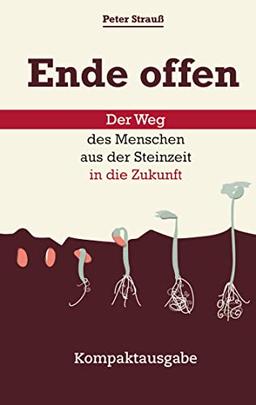 Ende offen – Der Weg des Menschen aus der Steinzeit in die Zukunft: Kompaktausgabe