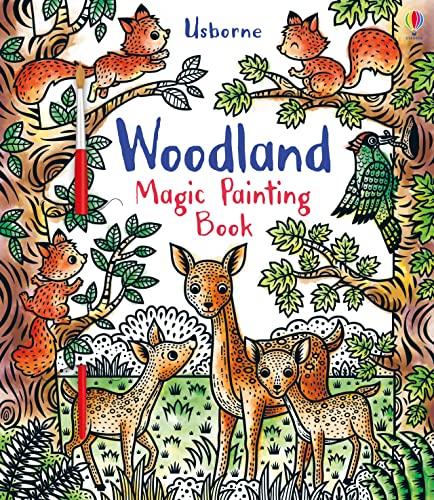 Woodland Magic Painting: 1 (Magic Painting Books)