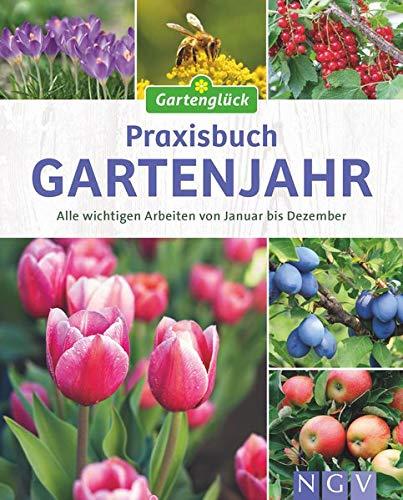 Praxisbuch Gartenjahr: Alle wichtigen Arbeiten von Januar bis Dezember