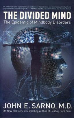 Divided Mind: The Epidemic of Mindbody Disorders