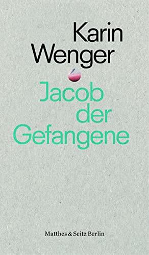 Jacob der Gefangene: Eine Reise durch das indische Justizsystem (punctum)