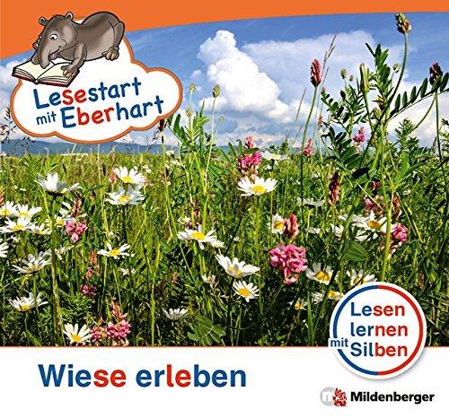 Lesestart mit Eberhart - Wiese erleben: Lesen lernen mit Silben - Themenhefte für Erstleser - Lesestufe 2