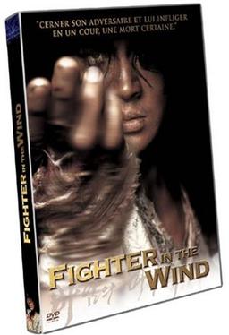 Fighter In The Wind [FR Import]