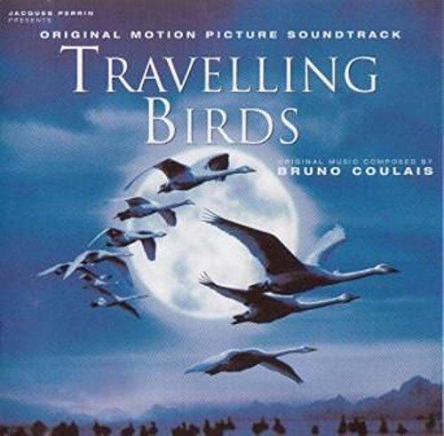 Travelling Birds