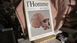 L'Homme : ses origines