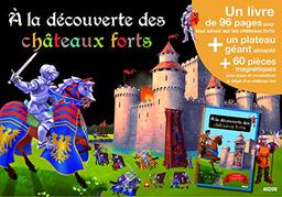 A la découverte des châteaux forts