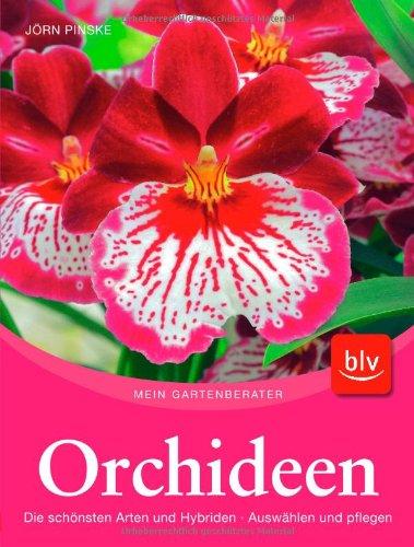 Orchideen: Die schönsten Arten und Hybriden. Auswählen und pflegen