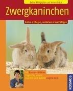 Zwergkaninchen: Halten & Pflegen, Verstehen & Beschäftigen