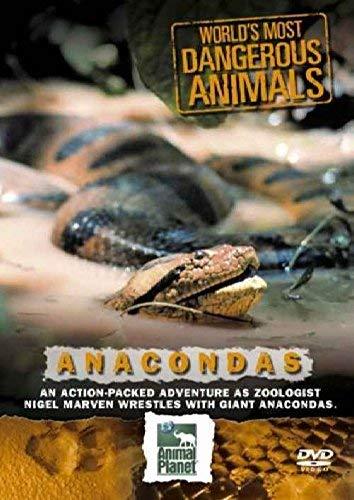 Worlds Most Dangerous Animals - Anaconda [Import anglais]