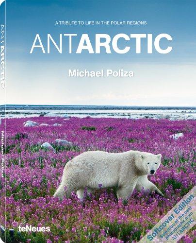 Antarctic : a tribute to life in the polar regions