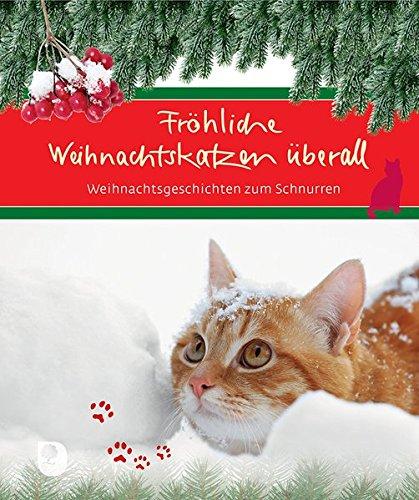 Fröhliche Weihnachtskatzen überall: Weihnachtsgeschichten zum Schnurren