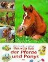 Mein erstes Buch der Pferde und Ponys