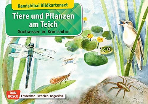 Tiere und Pflanzen am Teich. Kamishibai-Bildkartenset.: Entdecken - Erzählen – Begreifen: Sachwissen.