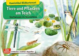 Tiere und Pflanzen am Teich. Kamishibai-Bildkartenset.: Entdecken - Erzählen – Begreifen: Sachwissen.