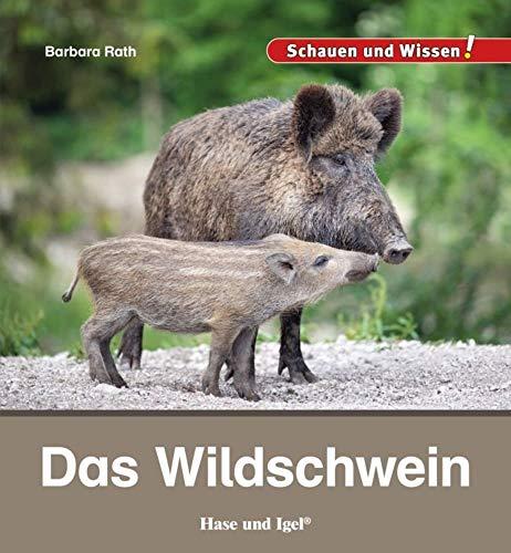 Das Wildschwein: Schauen und Wissen!