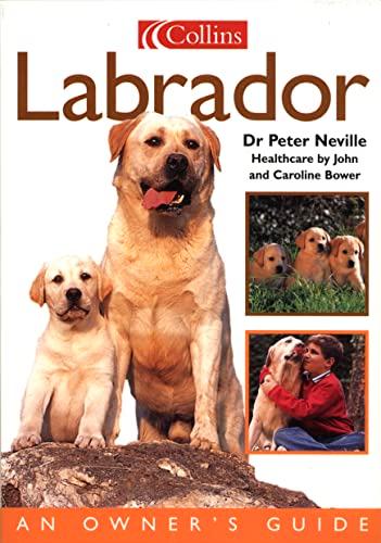 Collins Dog Owner's Guide - Labrador (Collins Dog Owner's Guides)