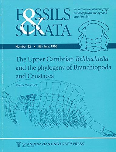 Upper Cambrian Rehbachiella (Fossils and Strata Monograph Series, Band 32)