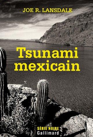 Tsunami mexicain