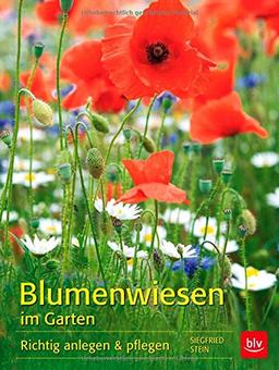 Blumenwiesen im Garten: Richtig anlegen & pflegen