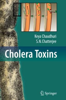 Cholera Toxins