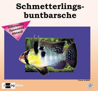 Schmetterlingsbuntbarsche