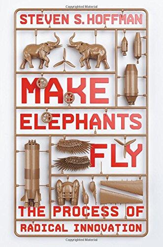 Make Elephants Fly: The Process of Radical Innovation