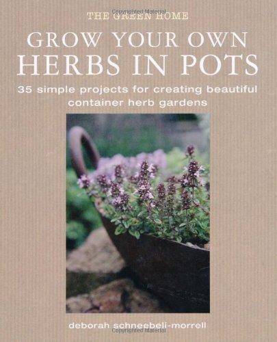 Grow Your Own Herbis in Pots