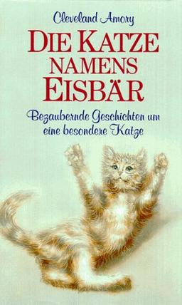 Die Katze namens Eisbär. Bezaubernde Geschichten um eine besondere Katze