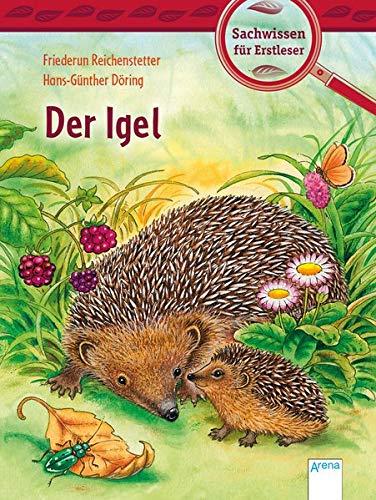 Der Igel: Sachwissen für Erstleser: Sachwissen fr Erstleser