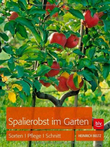 Spalierobst im Garten: Sorten, Pflege, Schnitt