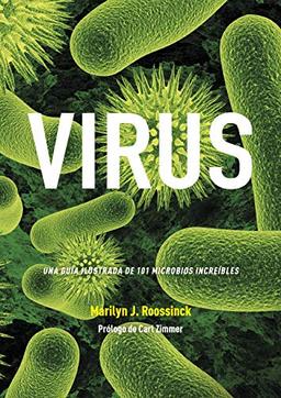 Virus: Una guía ilustrada de 101 microbios increíbles (Grandes temas, Band 35)