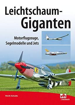 Leichtschaum-Giganten: Motorflugzeuge, Segelmodelle, Jets