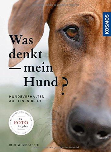 Was denkt mein Hund?: Hundeverhalten auf einen Blick